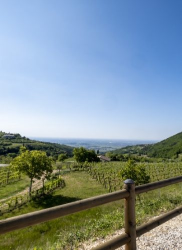 agriturismo acinatico degustazione con panorama